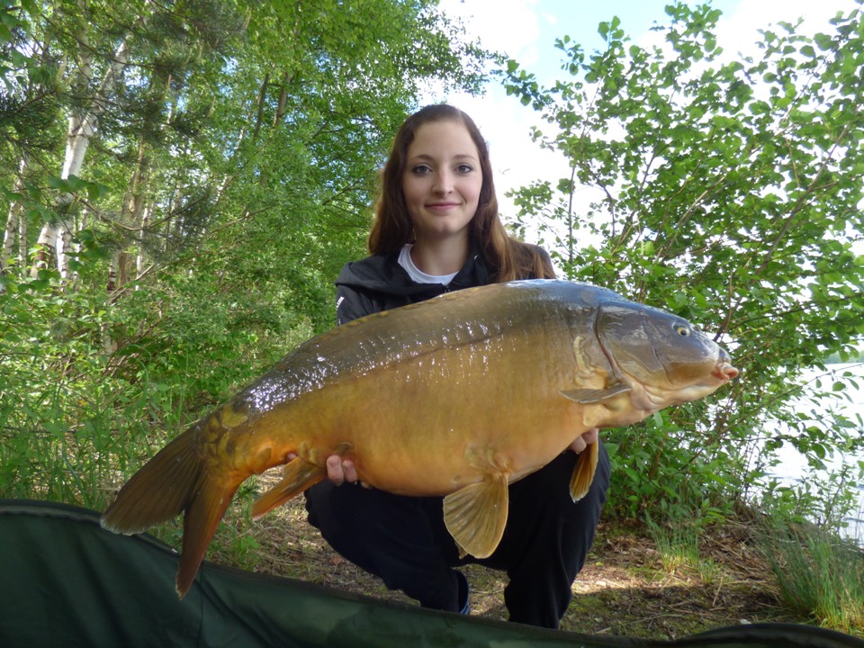 10 kg auf Fish & Liver